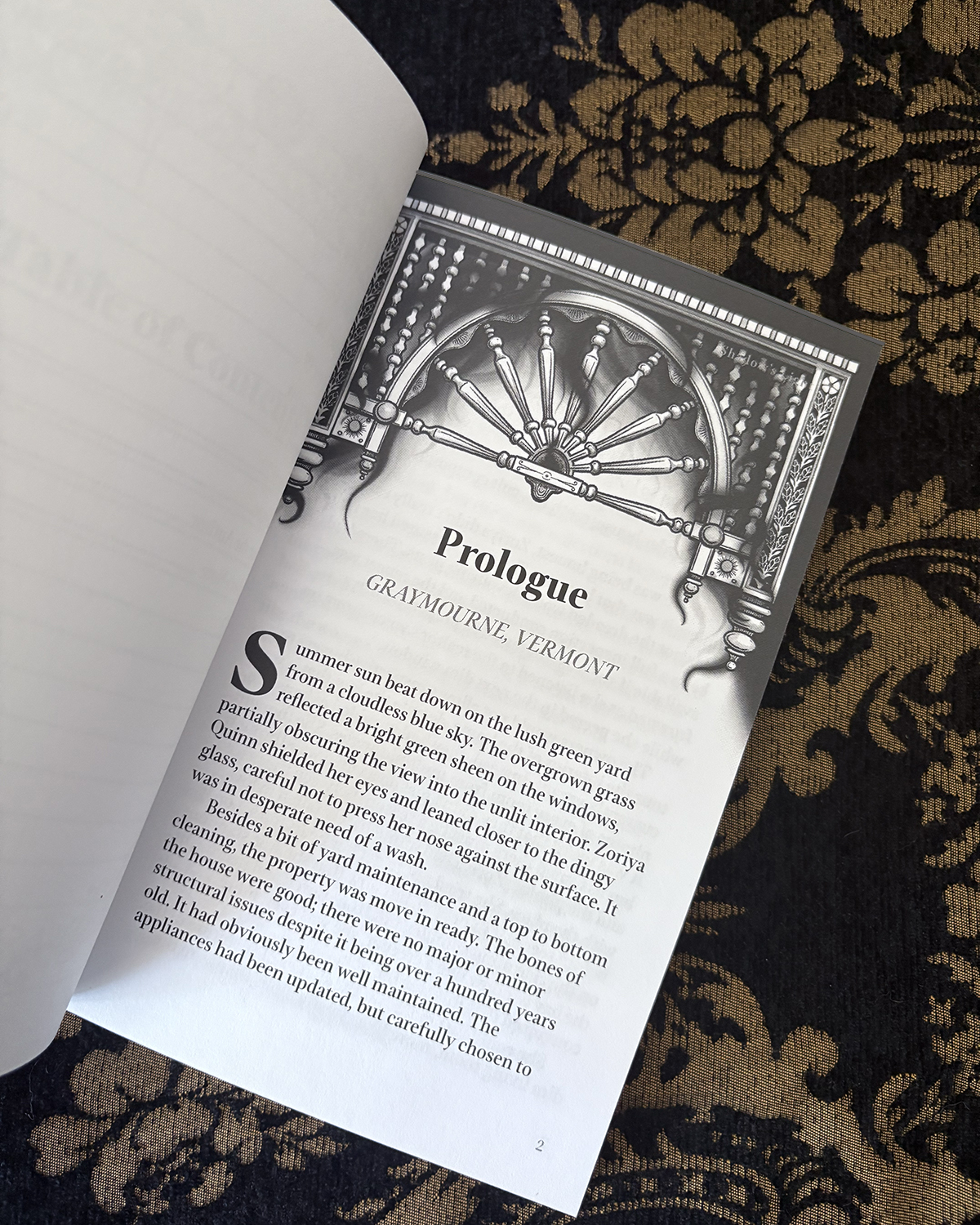 Shadow's Light – Sylvie Helstaff